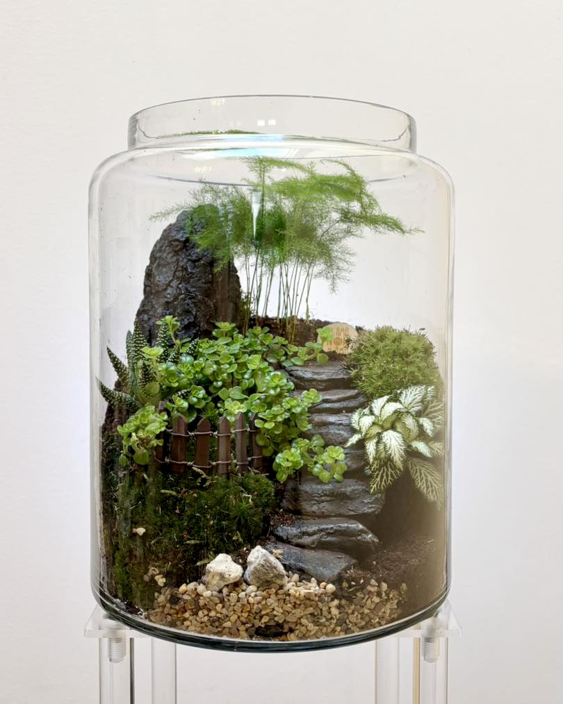 I Terrarium di M'ama Non M'ama L'Aquila - il diorama