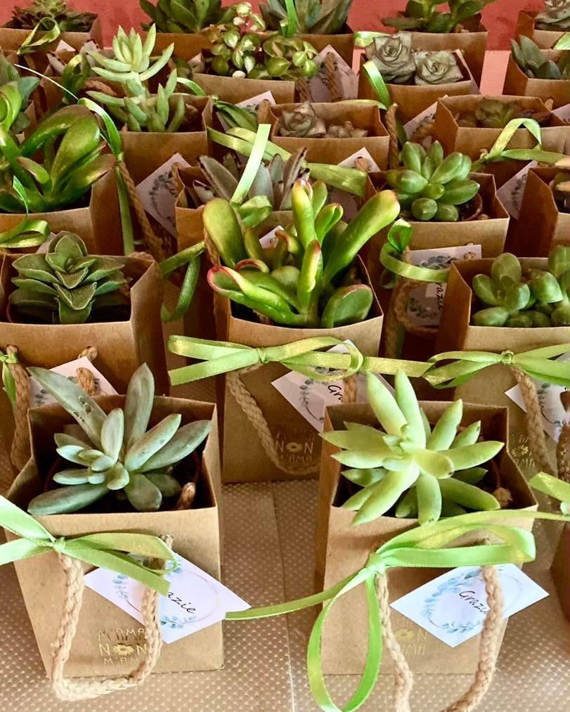 Le Bomboniere botaniche di M'Ama Non M'Ama a L'Aquila