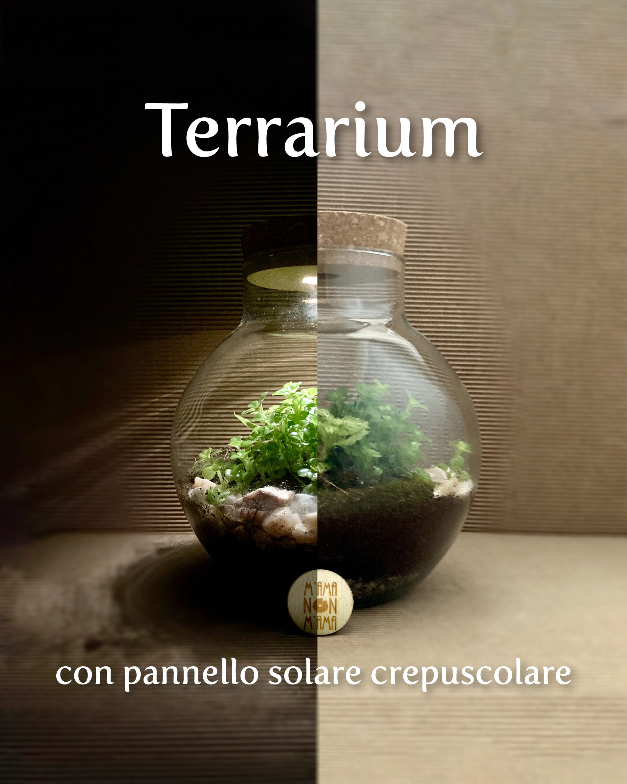 I Terrarium luminosi di M'ama Non M'ama L'Aquila