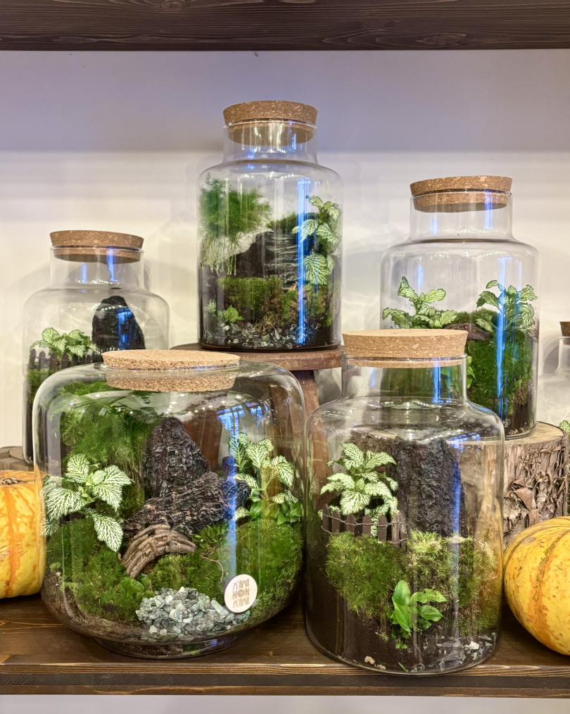 I Terrarium di M'ama Non M'ama L'Aquila - i diorama