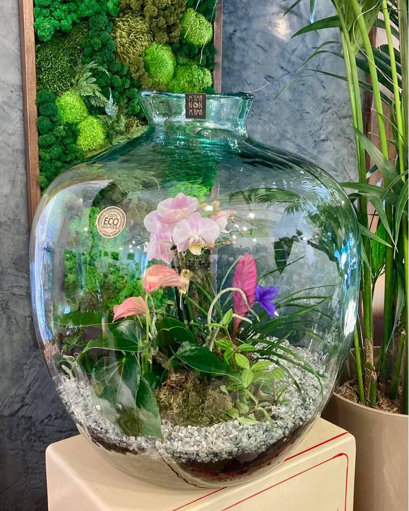 I Terrarium di M'Ama Non M'Ama a L'Aquila