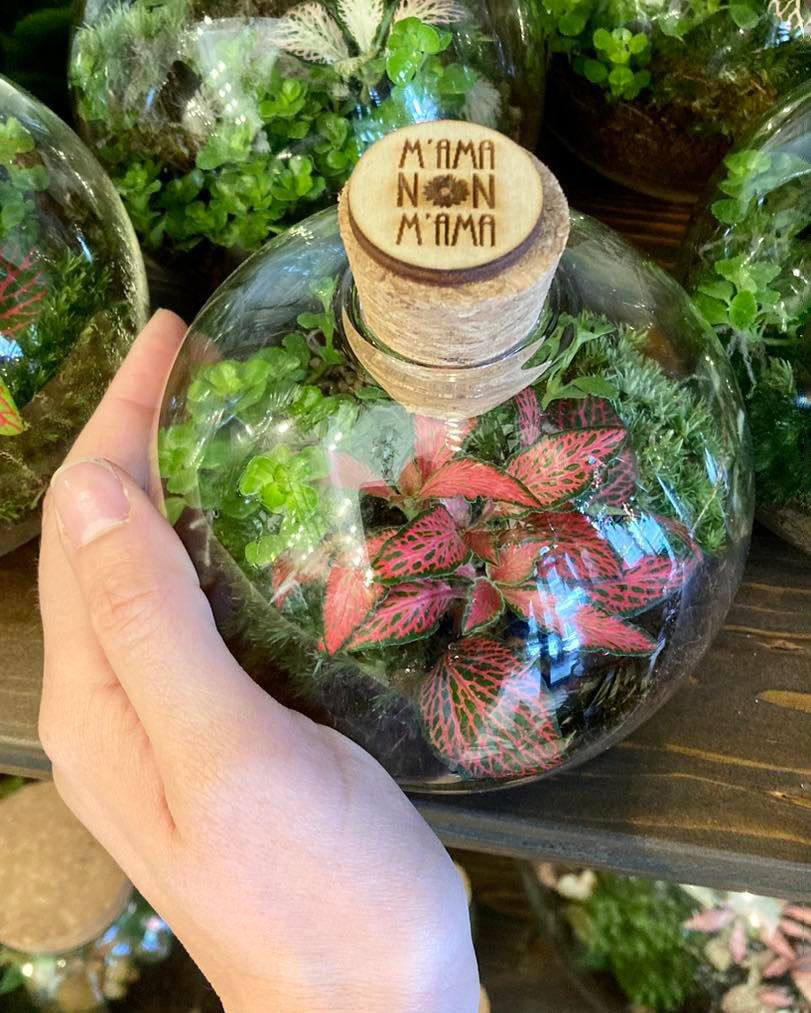 I mini Terrarium di M'ama Non M'ama L'Aquila