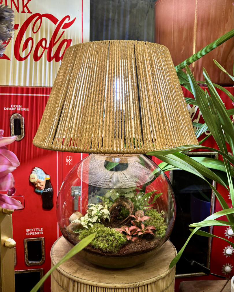 I Terrarium "Abat jour" di M'ama Non M'ama L'Aquila