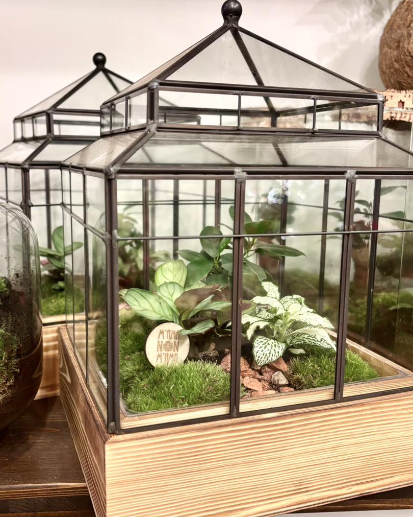 I Terrarium di M'ama Non M'ama L'Aquila- Giardino d'inverno