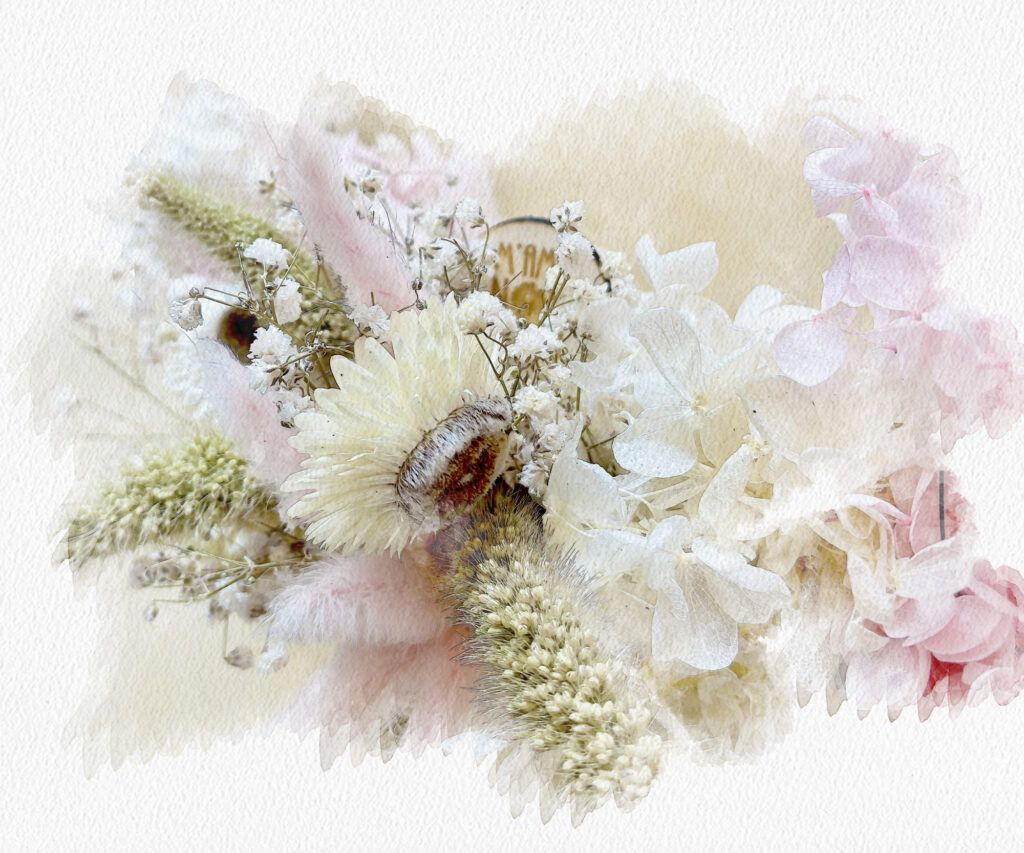 Fiori stabilizzati L'Aquila