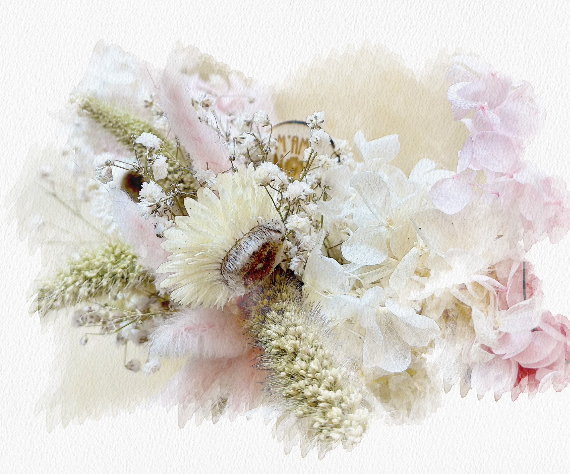 Fiori stabilizzati L'Aquila