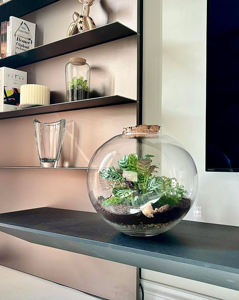 I Terrarium di M'Ama Non M'Ama