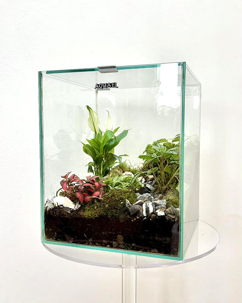 I Terrarium personalizzati di M'Ama Non M'Ama
