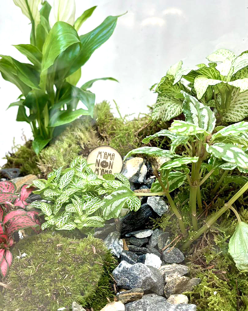 I Terrarium personalizzati di M'Ama Non M'Ama