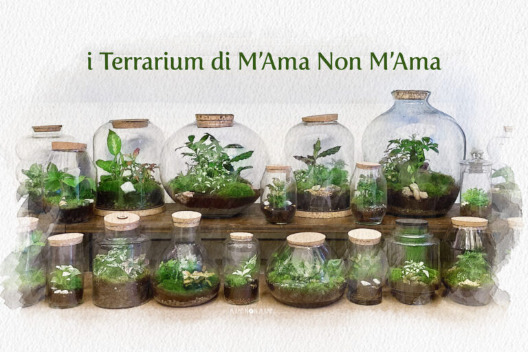 I Terrarium di M'Ama Non M'Ama