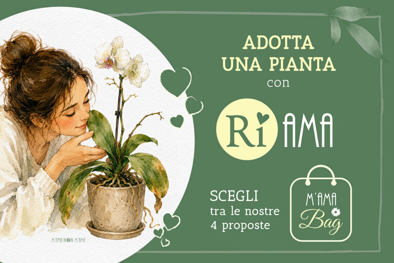 Iniziativa RiAMA negozio fioreria M'Ama Non M'Ama L'Aquila